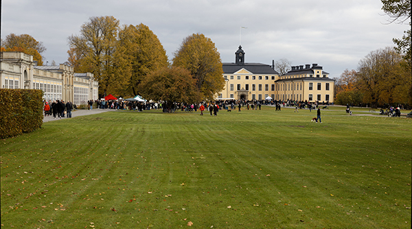 H&ouml;stmarknad Ullriksdals Slott
