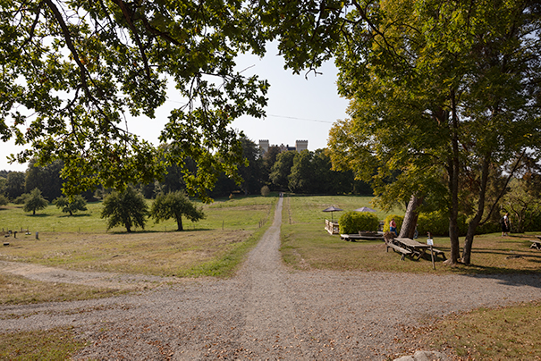 Bogesunds slott