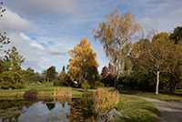 Oktober i Bergianska